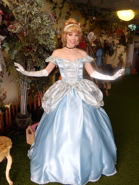 Cinderella2